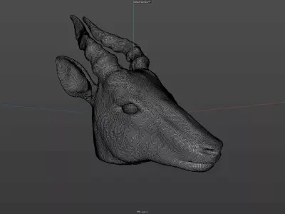 Impala Head Sculpt Free 3D model