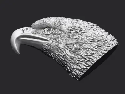 Eagle Head 3D print model