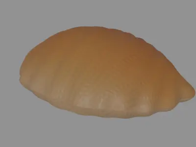 Oyster Clam 3D model
