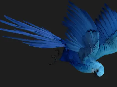 Parrot A4 3D model