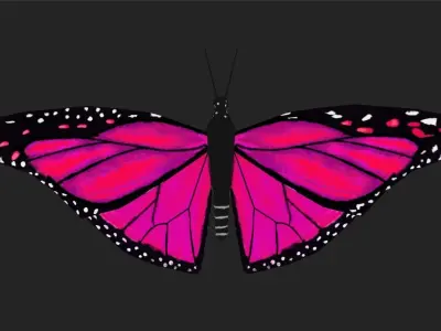 Low poly Butterfly Low-poly 3D model