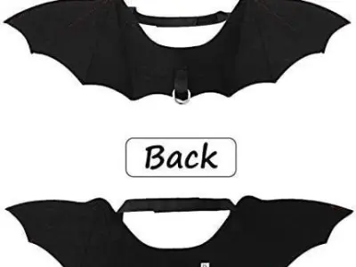 BatCat Wings 3D model