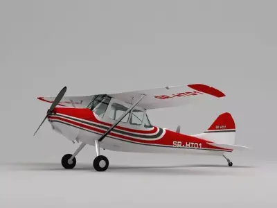 Cessna  Bird Dog 3D model