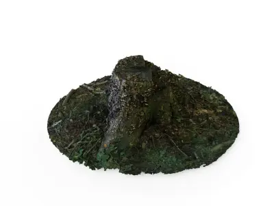 Forest Tree Stump 4K -Part 5- Free low-poly 3D model