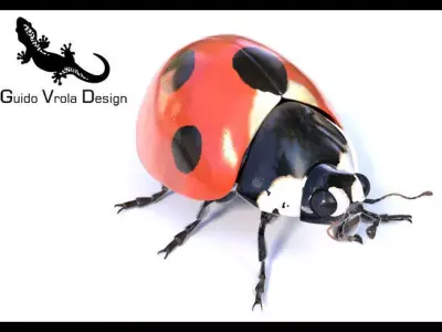 Accurate ladybug 3D model