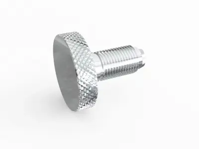 Screw 162 3D model