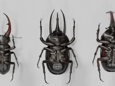 Stag rhinoceros atlas beetles realistic plus gold textures 3D model