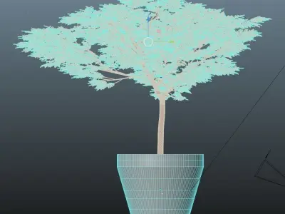 Tree in a pot Free low-poly 3D model