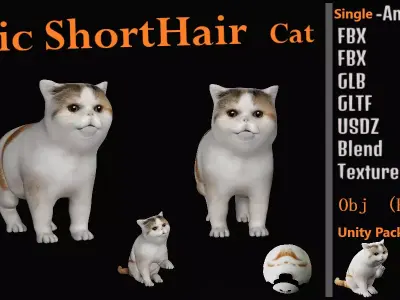 Exotic ShortHair Cat Free 3D model