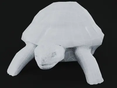 Turtle low poly for CG model Low-poly 3D model