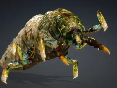 Larval-V1d 3D model