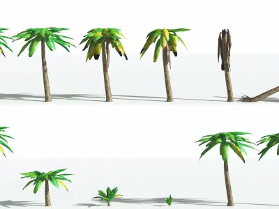 EVERYPlant Bjuvia Cycad LowPoly 4 --12 Models-- Low-poly 3D model