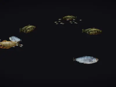 Fish Flock Fresh Water Fishes Animated Floating River Trout Low-poly 3D model