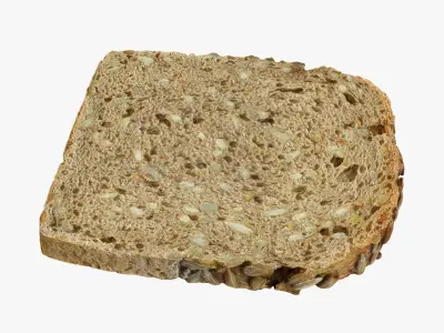 A Slice of Sunflower Seed Bread 3D model