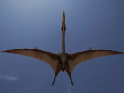 Quetzalcoatlus dinosaur flying in air Low-poly 3D model