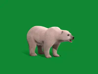 Polar Bear Free low-poly 3D model