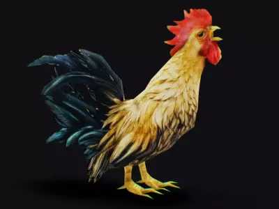 Realistic Rooster Cock Farm Bird Animated Mammal Birds Chicken Low-poly 3D model
