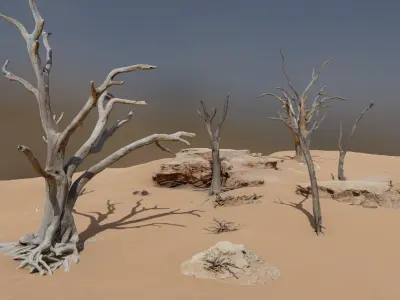 Namibian Desert Dry Vegetation Pack 12 3D model