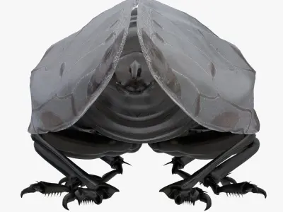 Cicada Low-poly 3D model