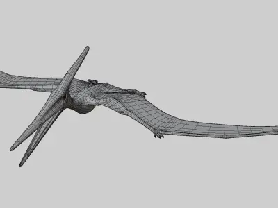 Pteranodon dinosaur with long beak Low-poly 3D model