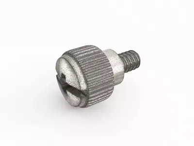 Screw 175 3D model