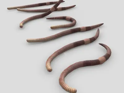 Earthworm set of wooden tusks Low-poly 3D model