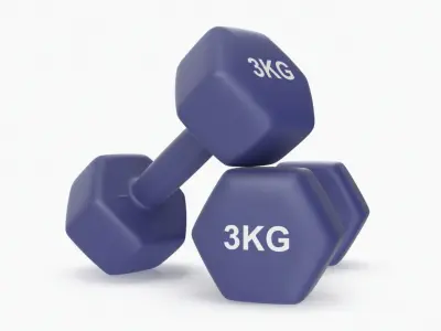 Plastic Fitness Dumbbells 3kg 3D model