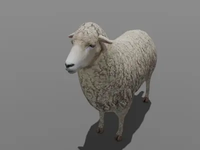 Animated Sheep 3D Model Low-poly 3D model