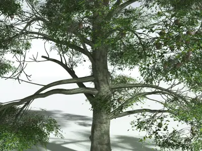 EVERYPlant Idiot Fruit Tree 3D model