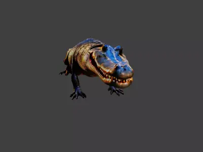 Crocodile Low-poly 3D model