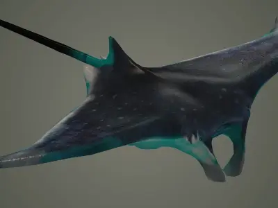 mantaray manta ray mantas devil fish shark giant reef  3D model
