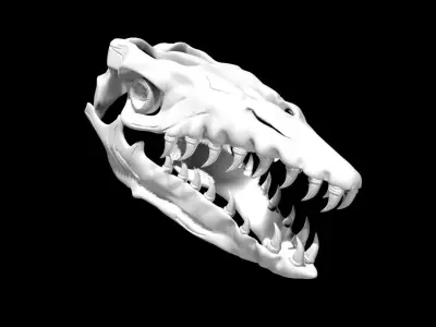 Mosasaurus skull Low-poly 3D model