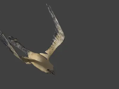 kite animated Low-poly 3D model