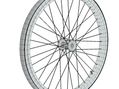 Old Bicycle Wheel 3D model