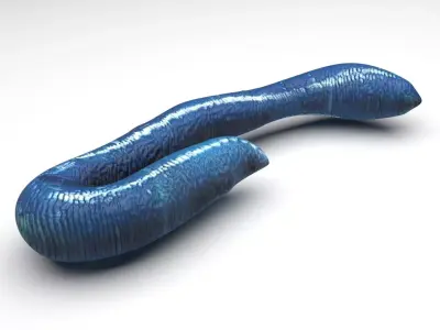 Blue Earthworm 3D model