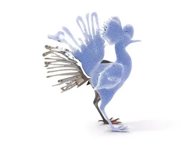 Elegant Crested Bird model pack Low-poly 3D model