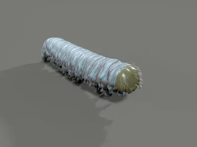 Caterpillar Low-poly 3D model