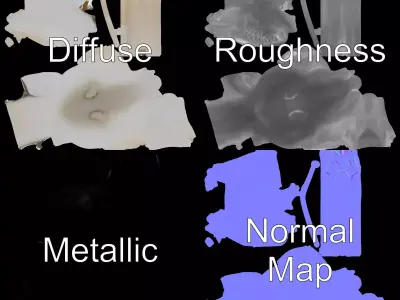 Elegant Swan model pack Low-poly 3D model