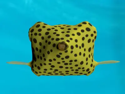 Boxfish yellow low poly Low-poly 3D model