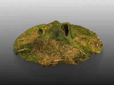 Forest Tree Stump 4K -Part 1- Free low-poly 3D model