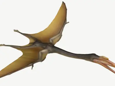 Quetzalcoatlus dinosaur Low-poly 3D model