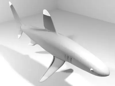 Shark - Whitetip 3D model