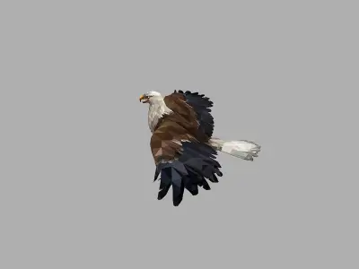 Bald Eagle Low Polygon Art Bird Animal Low-poly 3D model