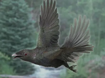 CROW - CORVUS - rigged - animated - Standard - PBR - VRAY  Low-poly 3D model