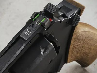 Chiappa Rhino 60DS Low-poly 3D model