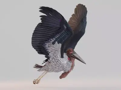 Realistic Animals Savannah - Marabou stork Low-poly 3D model