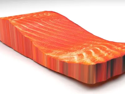 Sliced Salmon Fillet 3D model