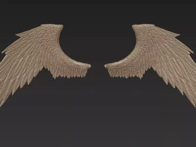 Wings 3 Zbrush Sculpt 3D model