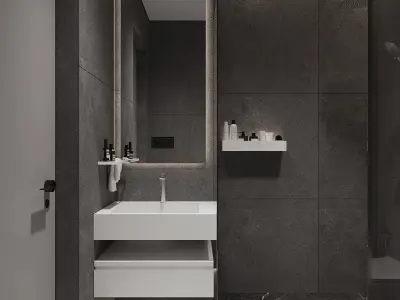 Bathroom design minimalism style Free 3D model
