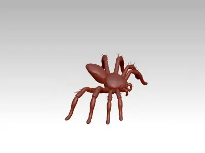 Spider insect 3D model
